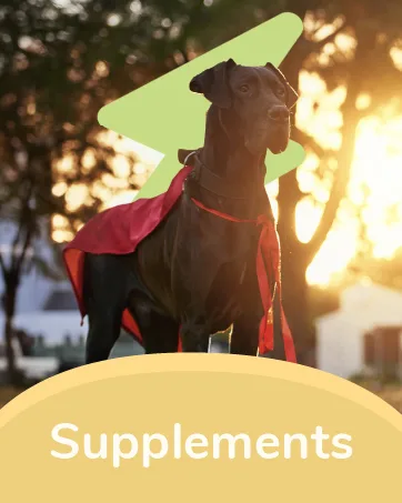 Kin+Kind Flea + Tick Prevent Dog + Cat Protect Spray Lemongrass 12 fl oz (354 ml) - supplements