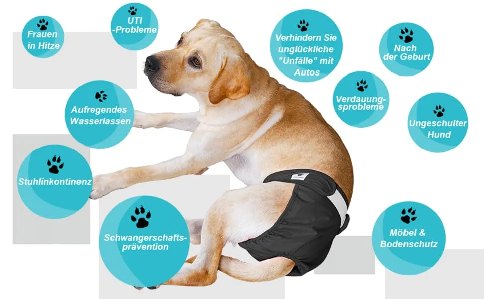 Hisprout Female Dog Diaper Reusable Washable Durable Dog Diapers Pants Gray Footprints MM Gray Footprints - product information 7