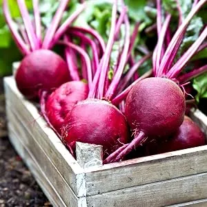 Klimmek Premium ORGANIC Beetroot Juice - 100% pure beetroot juice - 3 litre bag in box - rote Beete Ernte