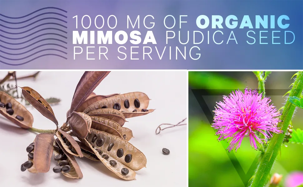 CodeAge Mimosa Pudica Seed+ 120 Capsules - Codeage - Fat Soluble Organic Supplement