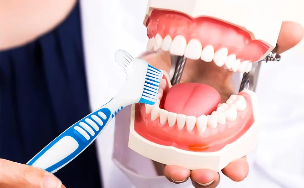 Xtudou prosthetic box set (2 dentist dental dinner 2 dental prostheses container 2 prosthesis cleaning brushes with double heads) for false teeth and braces storage cleaning - Prothesendose Set