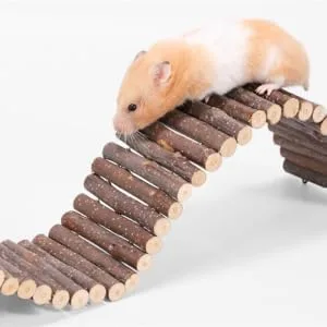 Rabbit wood swing playing multifunctional wooden hamster swing hammock natural cute resting platform large space for racing mice sparrows for hamsters (15 * 30 cm) 15 * 30 cm - Hamster Holzschaukel