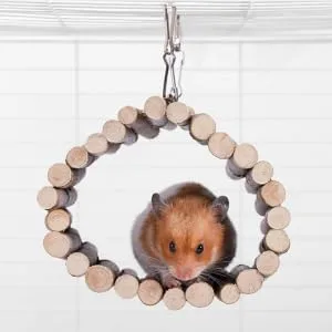 Rabbit wood swing playing multifunctional wooden hamster swing hammock natural cute resting platform large space for racing mice sparrows for hamsters (20 * 30 cm) 20 * 30 cm - Hamster Holzschaukel