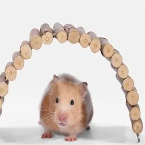 Rabbit wood swing playing multifunctional wooden hamster swing hammock natural cute resting platform large space for racing mice sparrows for hamsters (20 * 30 cm) 20 * 30 cm - Hamster Holzschaukel