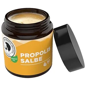 Active Natural Remedies Propolis Ointment 30g | Cream / Ointment is pure high quality & from Germany - Propolis Salbe