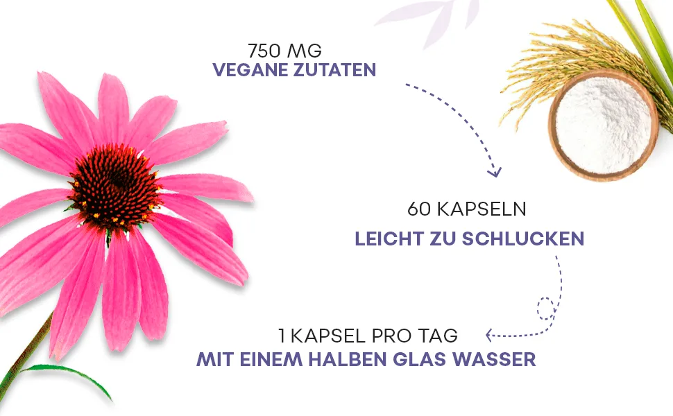 Echinacea immune complex |Echinacea beta-glucane elderberry vitamins C and D selenium copper lactobacillus acidophilus |Immune system |60 capsules |100% natural addition - echinacea kapseln, echinacea tabletten
