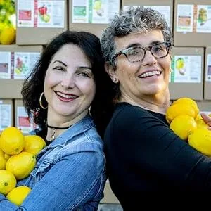 Lemonette Gourmet Lemon Dressing Lemon Garlic 12 fl oz (354.9 ml) - product information 6