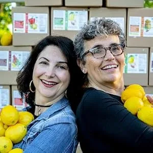 Lemonette Gourmet Lemon Dressing Mediterranean Herb 12 fl oz (354.9 ml) - product information 7