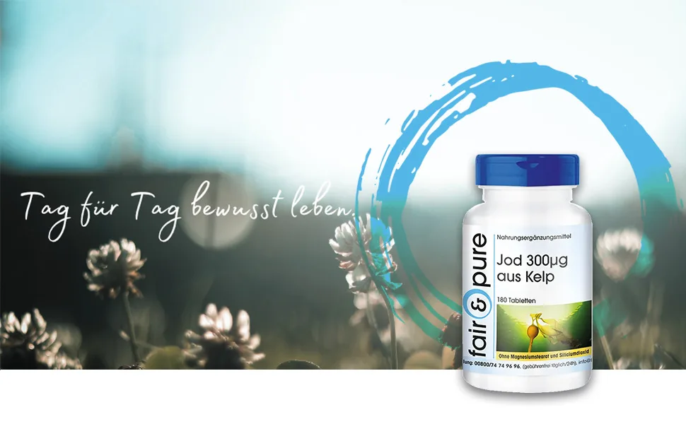 Fair & Pure - Iodine 300mcg from the brown algae Kelp - Kelp extract - vegan - natural - high dosage - 180 Kelp tablets - Titel