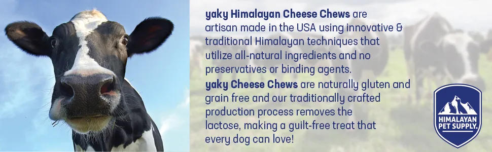 Himalayan Pet Supply Yaky Himalayan Cheese Chew Medium 2.3 oz (65 g) - Himalayan Dog Chew, Himalayan Yak Cheese, Himalayan Cheese Chews