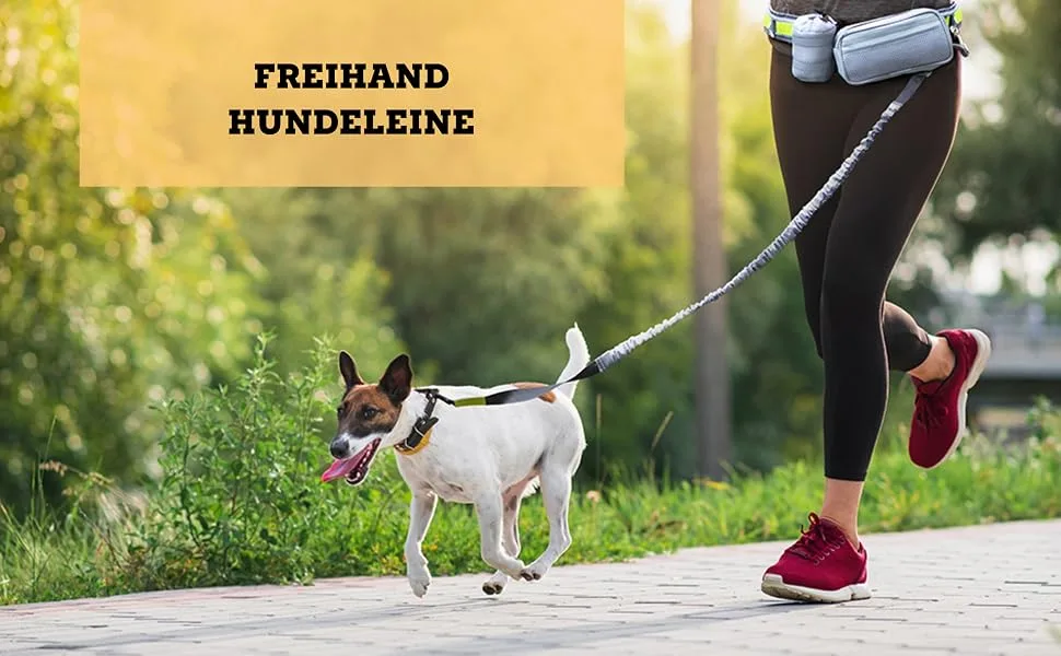 Vitazoo jogging line for dogs with belly belt - elastic running line with adjustable runway - dog leash with belt bag & reflective sections - jogging leash for dog - product information 2