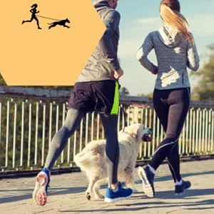 Vitazoo jogging line for dogs with belly belt - elastic running line with adjustable runway - dog leash with belt bag & reflective sections - jogging leash for dog - product information 4