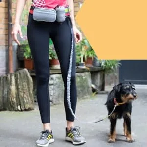 Vitazoo jogging line for dogs with belly belt - elastic running line with adjustable runway - dog leash with belt bag & reflective sections - jogging leash for dog - product information 6