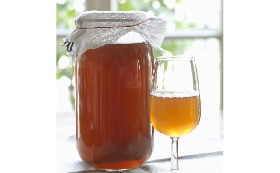 Original KOMBOCHA-TEEEE EEEEPHILZ Premium Quality + Bio Kombucha drink instructions + growth guarantee.From the Bad Kohlgrub from Okiravit (set for 1 liter) - Kombucha, Scoby, Teepilz, Start-Set, Tee, Kultur, OkiraVit, Gärglas