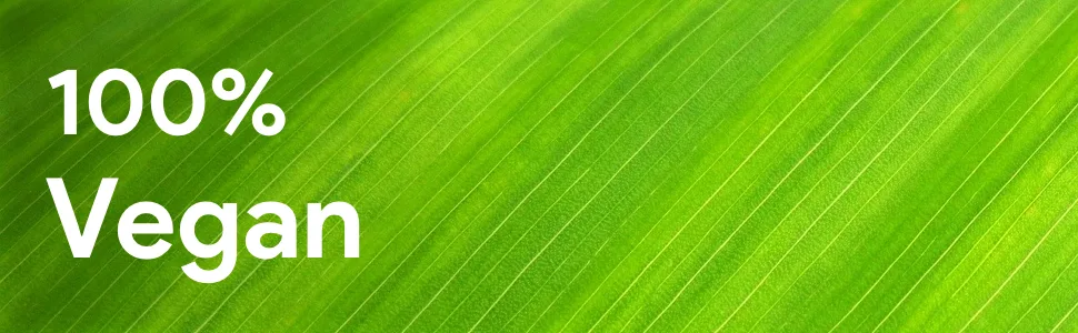 Cranberry capsules from Bj kovit |Vegan & without additives |High -dose cranberry tablets (capsules) with pumpkin extract + vitamin C + selenium - vegan