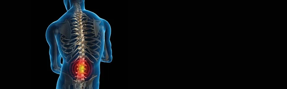 Bodi-Tek R ckendehner Backmagic Plus - Blaues 3D-Skelett-Bild zur Hervorhebung der Wirbelsäule und des unteren Rückens