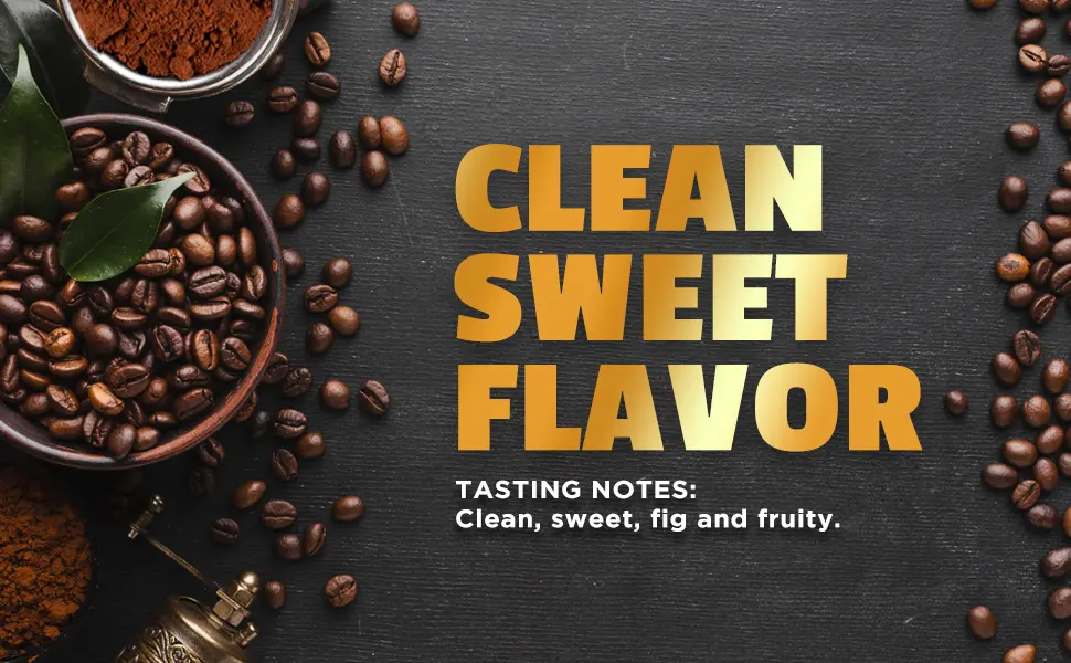 Mt. Whitney Coffee Roasters Premium Organic Decaf Colombian Whole Bean Coffee Medium Roast 12 oz (340 g) - Mt. Whitney Premium Organic Spring Water Colombian Coffee Decaf