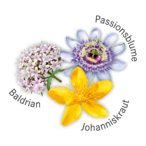 Neurapa's balance: 5 x 100 tablets - vegetable antidepressant - St. John's wort passion flower & valerian - ambiguous relaxing & calming - Dreierkombination