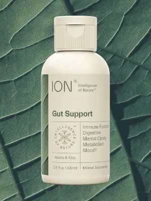 ION Biome Gut Support Mineral Supplement 3.4 fl oz (100 ml) - ION Gut Support