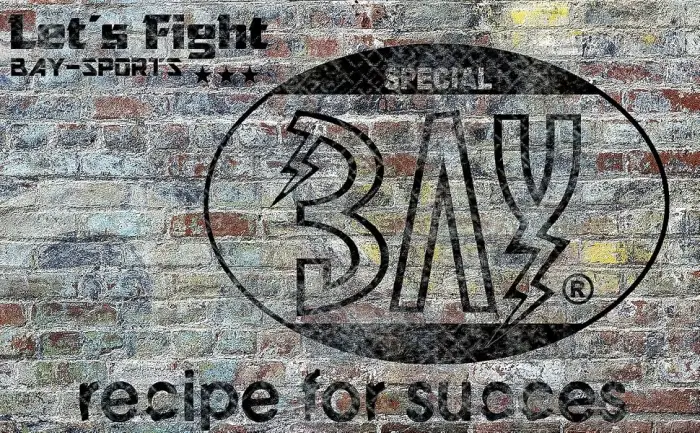 BAY "Basic 2.5" boxing bandages + WRAPPING INSTRUCTIONS BLACK elastic 2.5 meters x 5 cm boxing bandages pair BLACK - Logo mauer BAY
