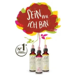 Original Bach Flower Drops No. 22 Oak: Take breaks from excessive sense of duty with the Bach Flower Oak 20ml - Bach Blüten Essenzen