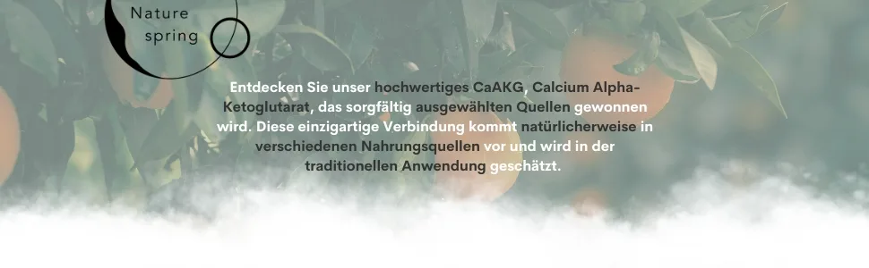 Nature Spring Caakg |Calcium alphaketoglutarate |Laboratory test in DE |60 capsules |High dose |1000 mg |CAAKG in the best quality without additives - CaAKG