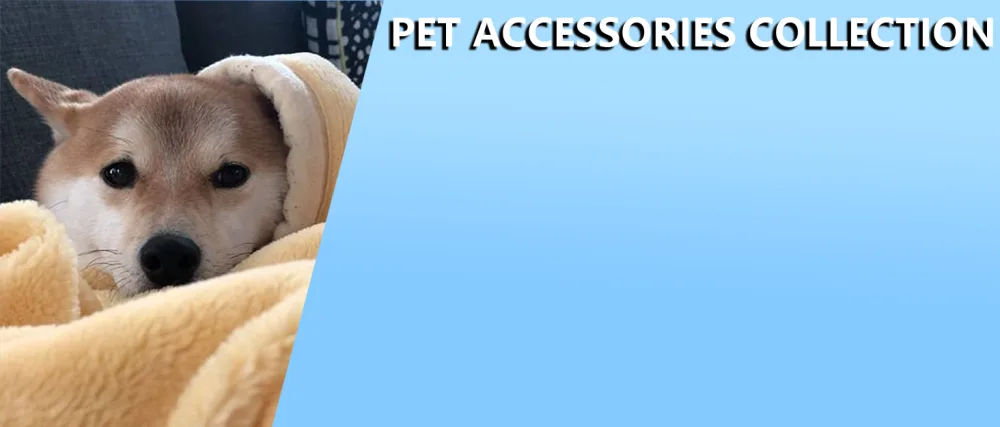 PET soft dog diapers for bitches reusable heat pants for bitches high -suction incontinence dog diapers 3 pieces (pattern 3 l) pattern 3 l - Pet Soft