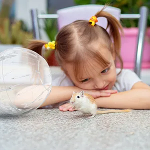 Relaxdays hamster ball 18.5 cm running ball for hamsters & mice plastic rodent toy for running transparent/white - hamster running ball