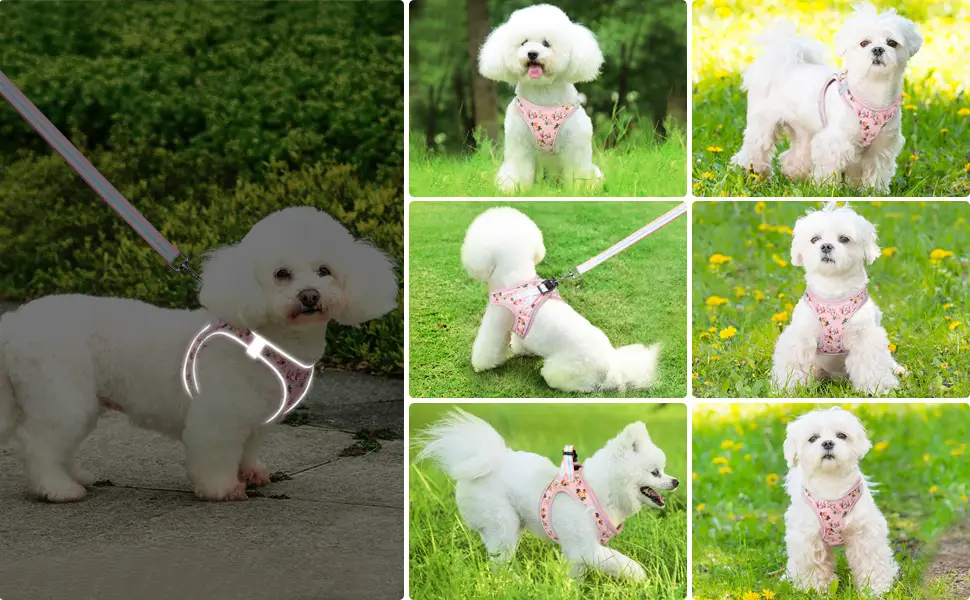 Heele dog harness adjustable anti train dishes reflective breathable dishes dogs light breast harness small dogs for walking training reflective plaid white m - product information 11