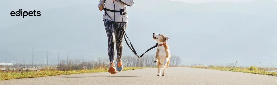 Edipets Jogging Leash Dogs Hands-Free Running Hiking Webbing Anti-Stress Reflective 160-220 cm (Blue) - correa para perro