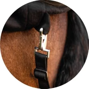 Equilyx sweat ceiling Horse perfect fit Fleecedecke stable ceiling Transport ceiling Warming moisture absorbing breathable (black 155) black 155 - Schweifriemen