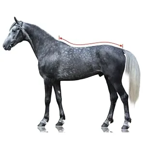 Equilyx sweat ceiling horse perfect fit fleeced blanket stable ceiling Transport ceiling warming moisture absorbing breathable (black 125) black 125 - Größenmessbild