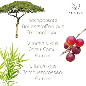 Cultures complex probioglow 21 cultures 30 billion bifidobacteria and lactic acid bacteria Resistant strength type 3 acacia fibers resist.Maisdextrin glutamine - product information 5