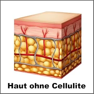 CREMAFIT TONED Fights fat deposits and deep and stubborn cellulite for legs and buttocks. 150ml - Haut ohne Cellulite
