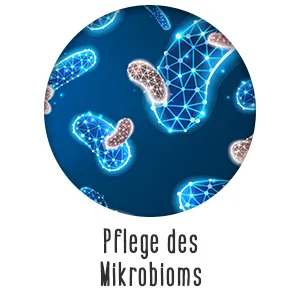 Microbiota - effective microorganisms to take!Dietary supplements with living microorganisms - 31 bacterial strains for the optimal balance of the microbiome.(Microbiota classic) - Pflege des Mikrobioms
