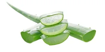 Silvana diaper change cream 100 ml - Aloe Vera Bild