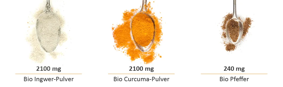 Curcuma & Ingwer & Pfeffer (180 capsules) new turmeric combination: Curcumin & Gingerol & Piperin.High dose vegan laboratory test without additives - Bio Ingwer Curcuma Zutaten
