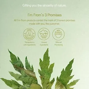 I'm From Mugwort Cream 1.76 oz (50 g) - concept