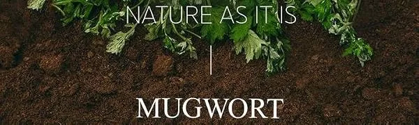I'm From Mugwort Cream 1.76 oz (50 g) - mugwort