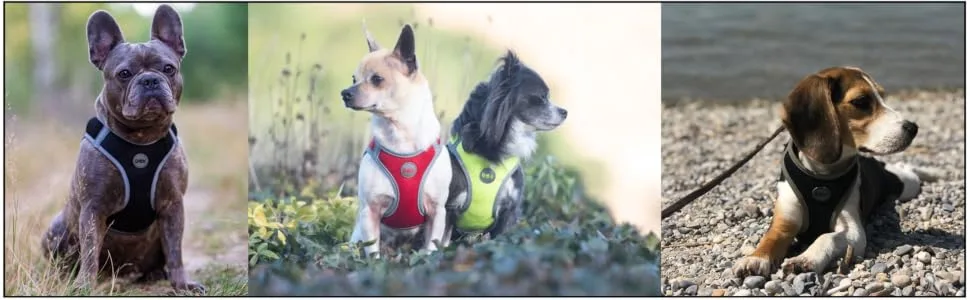 Ddoxx Reflecting Airmesh Step -in Dog harness - adjustable breast puppy dishes for all sizes - L (blue) breast size: 43-48 cm blue - product information 2