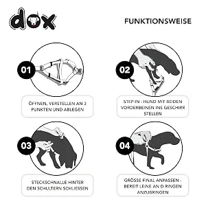 DDOXX Air Mesh Step-In Dog Harness - Adjustable Chest Puppy Harness for All Sizes - S (Orange) Orange S - 2.0 x 45-63 cm - Funktionsweise
