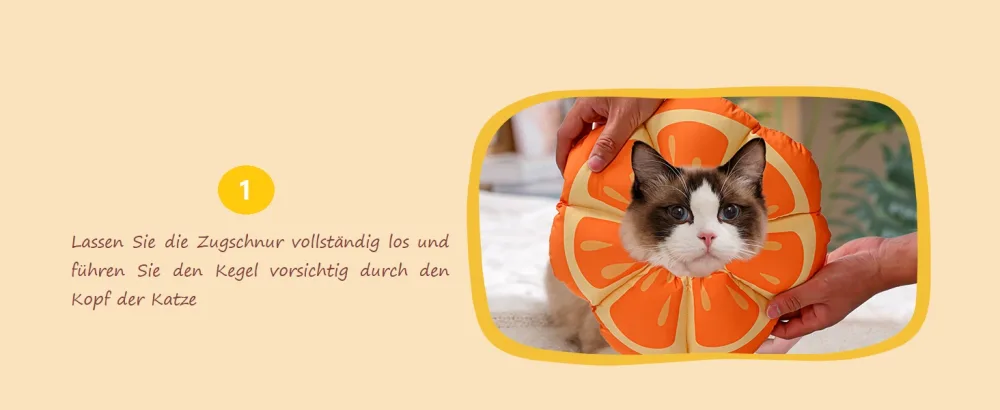 Avont Rewrise cat adjustable collar soft neck collar cat leak protection collar for small dog after operation protective collar -m | mandarin mandarin medium - product information 1