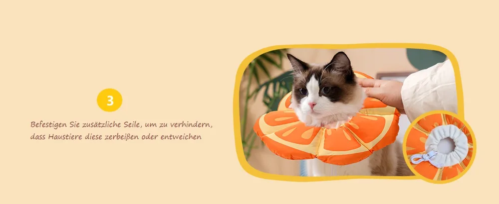 Avont Rewrise cat adjustable collar soft neck collar cat leak protection collar for small dog after operation protective collar -m | mandarin mandarin medium - product information 3