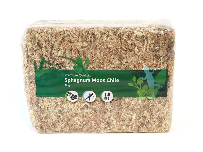 Sphagnum moss for terrariums and orchids from Chile 150 g 1x150gr - Chile Moos Block