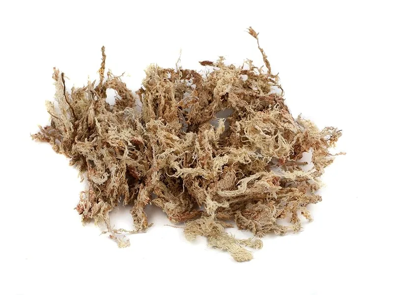 Sphagnum moss for terrariums and orchids from Chile 1 x 1000 g 1x1000gr - Chile Moos nah