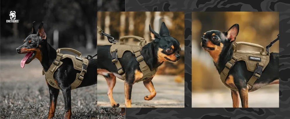 Oneigris dog harness and leash set Mini Trooper puppy dishes with control handle for extra small/small medium -sized dogs brown xxs xxs brown - Hundegeschirr