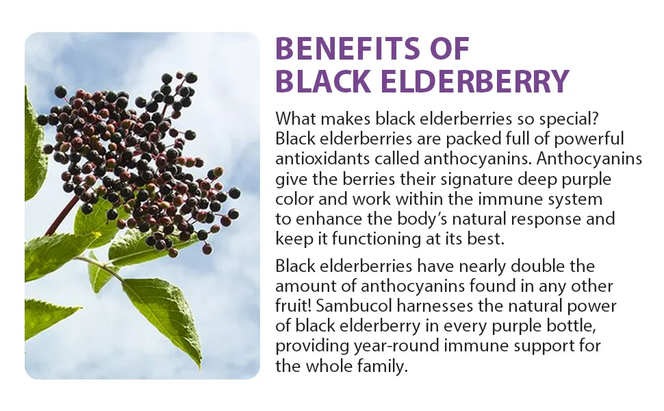 Sambucol Black Elderberry Capsules Advanced Immune + Vitamin C + Zinc 30 Capsules - Sambucol Advanced immune black elderberry capsules with vitamin c and zinc, 30 Count