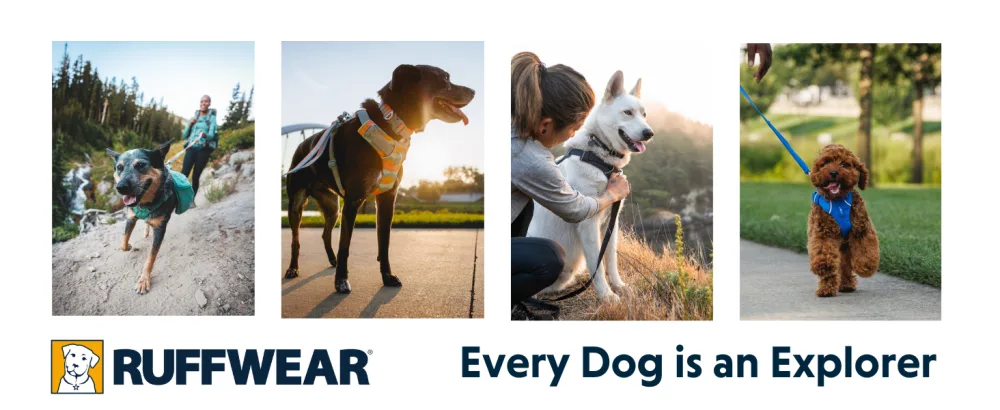 Luffwear front Range dog harness reflective yating adjustable comfortably padded everyday dishes for walks and dog races 2 linen fortifications Spring Mountains M m Spring Mountains - RUFFWEAR