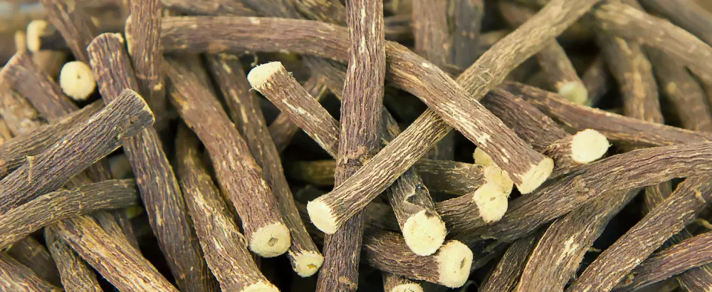 Lung herb capsules for lung cleaning - breath complex 120 capsules with lung word sage peppermint licorice root polyphenol extracts and much more.- Bavarians without additives produced in Germany - copd