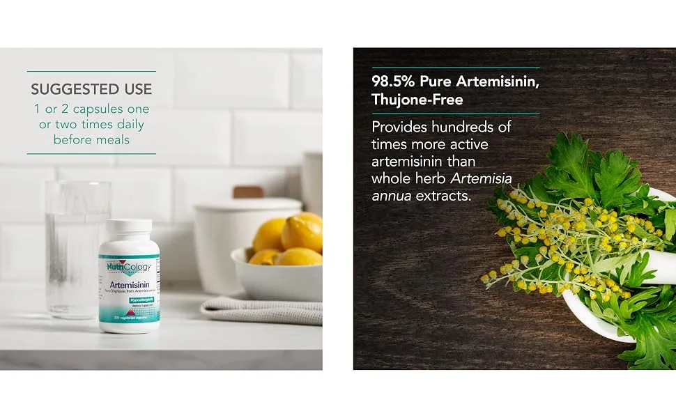 Nutricology Artemisinin 300 Vegetarian Capsules - 55680